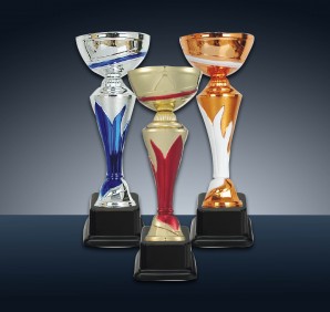 SW309 (금 8만 1,000원, 은 8만 1,000…