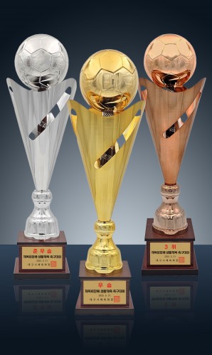 니케 축구 (금 22만 5,000원, 은 22만 5,0…